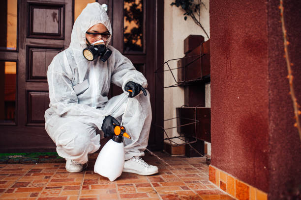 Reliable Cockroach Control contractor in Seabrook, TX by Nex Pest Control